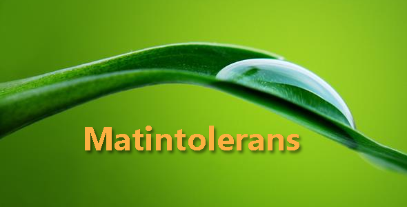 Matintolerans